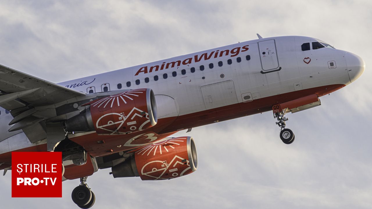 Tribunalul București a respins cererea de insolvență depusă de AnimaWings Aviation SA