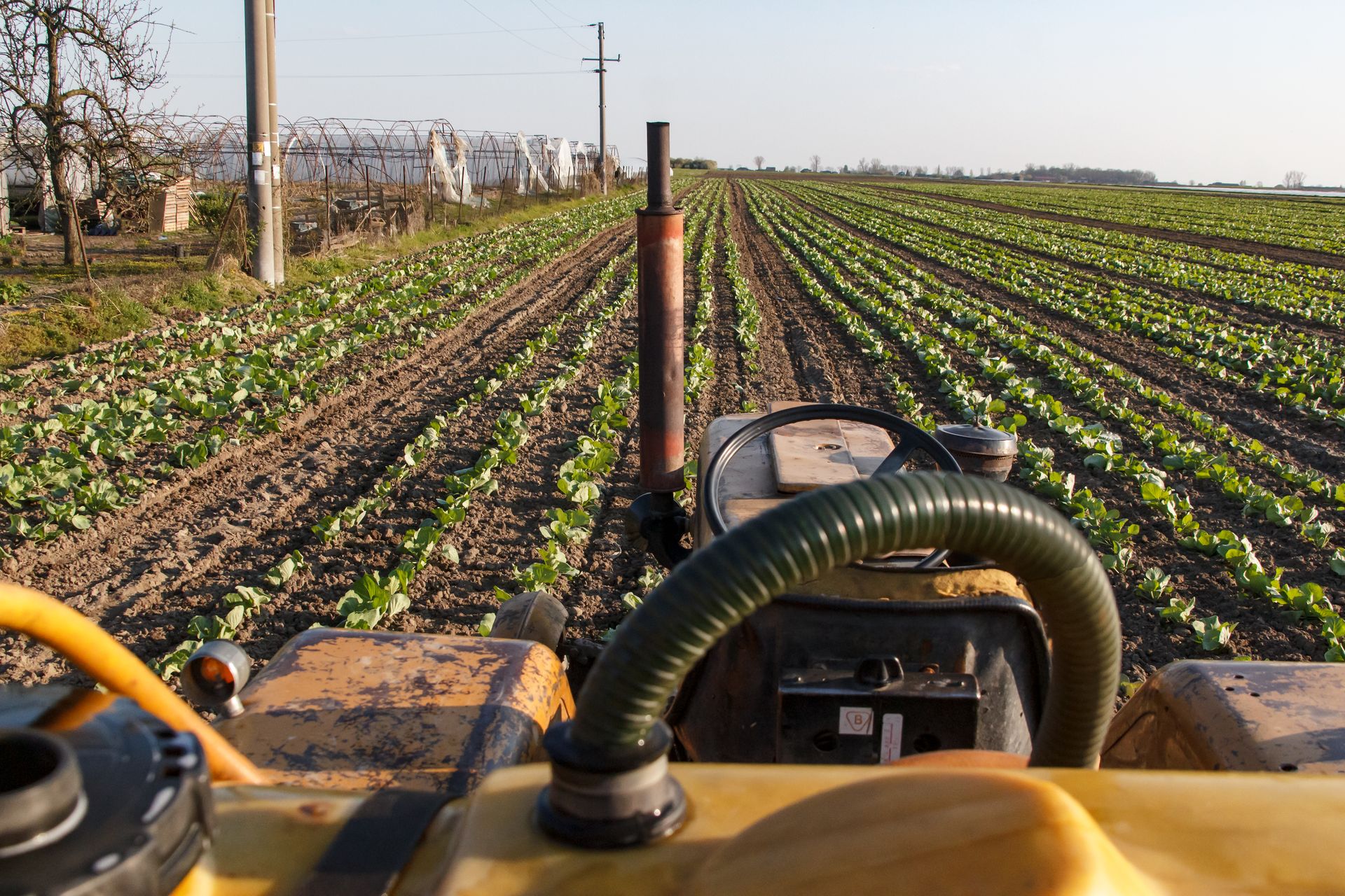 Impactul rambursării accizei la motorina agricolă: de la fermă la prețurile de la raft