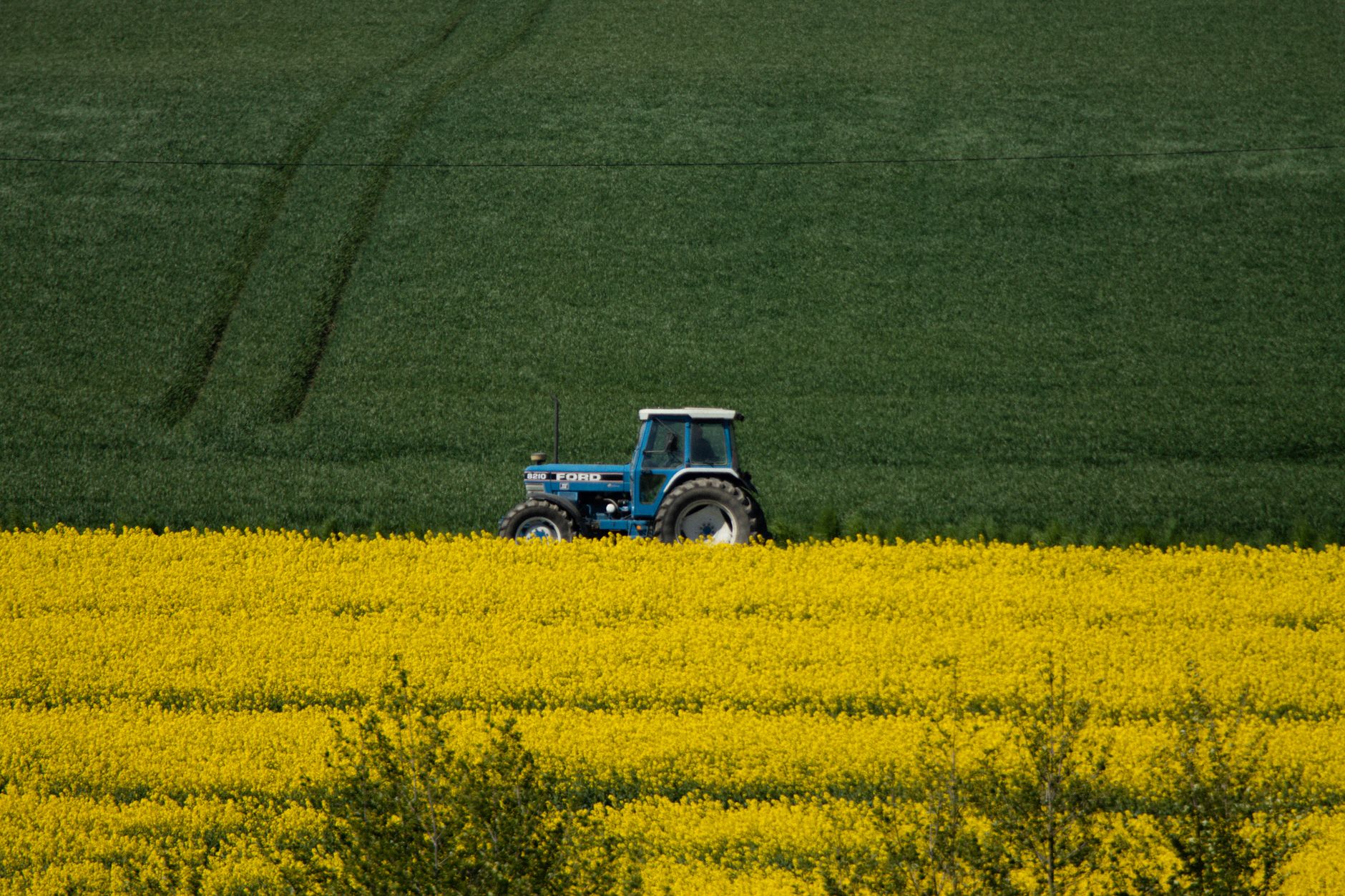 IMM-urile domină sectorul agricol din România: 88% din cifra de afaceri de 55 mld. lei provine de la firme mici și medii