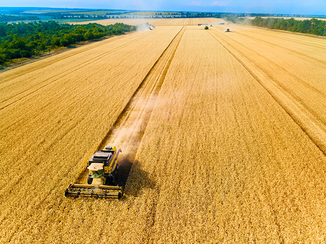 IMM-urile domină sectorul agricol: 88% din cifra de afaceri de 55 mld. lei provine de la firme mici și mijlocii