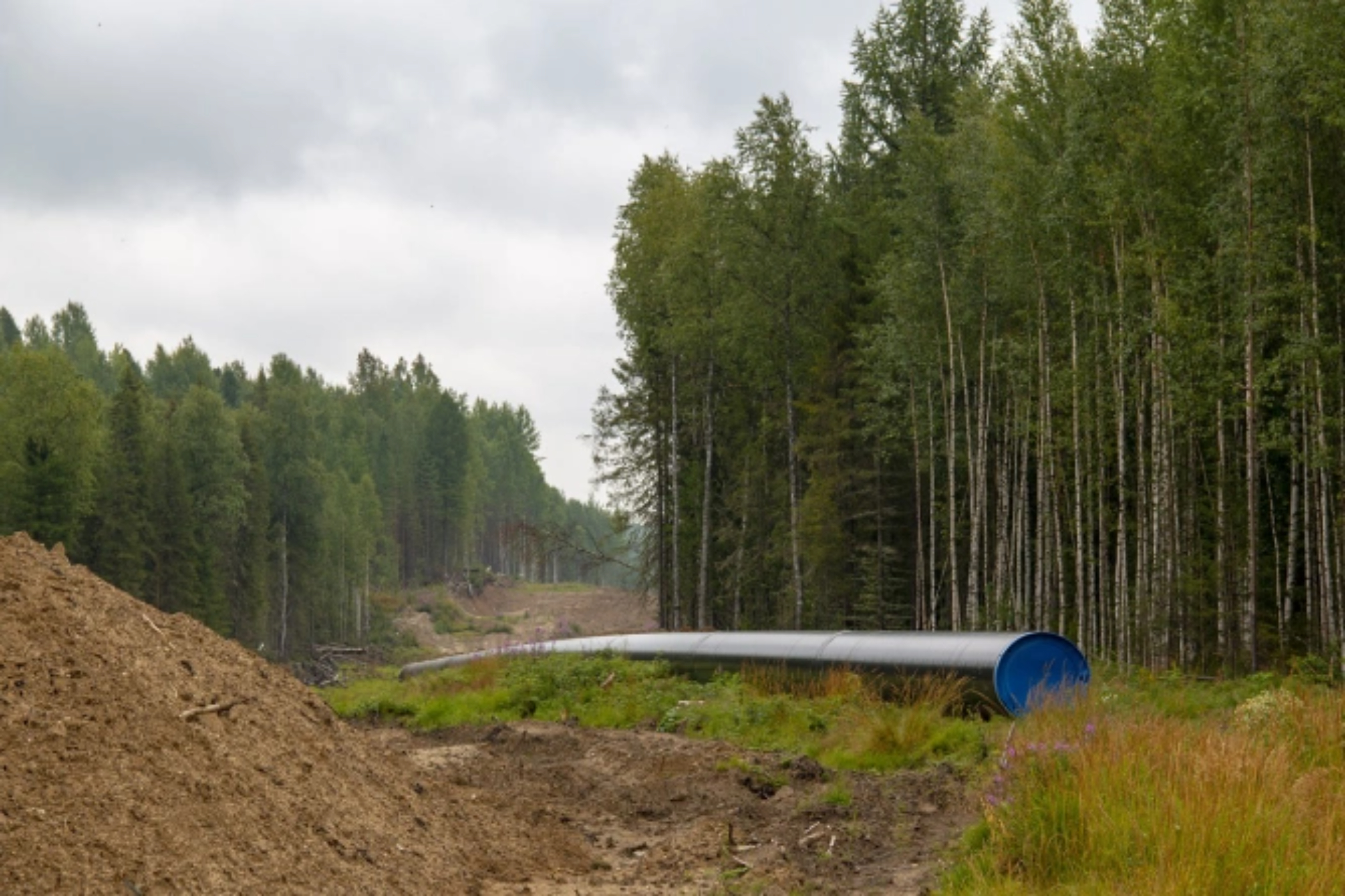 Parteneriat strategic între Transgaz și Kawasaki pentru testarea transportului de hidrogen în România