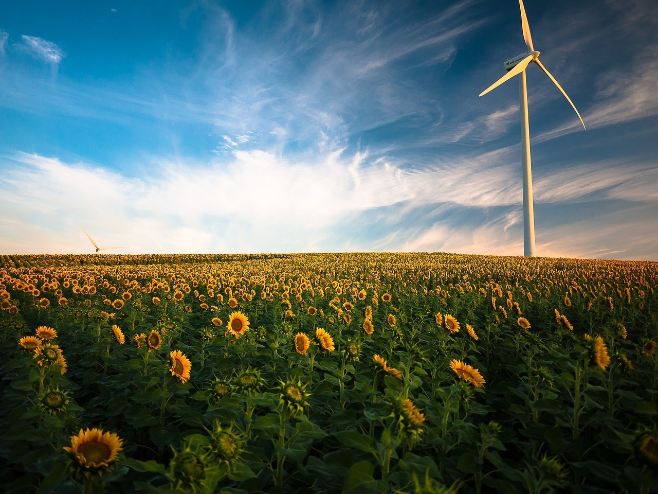 Capacitatea mondială de producție a energiei regenerabile va încetini în acest an, conform IRENA
