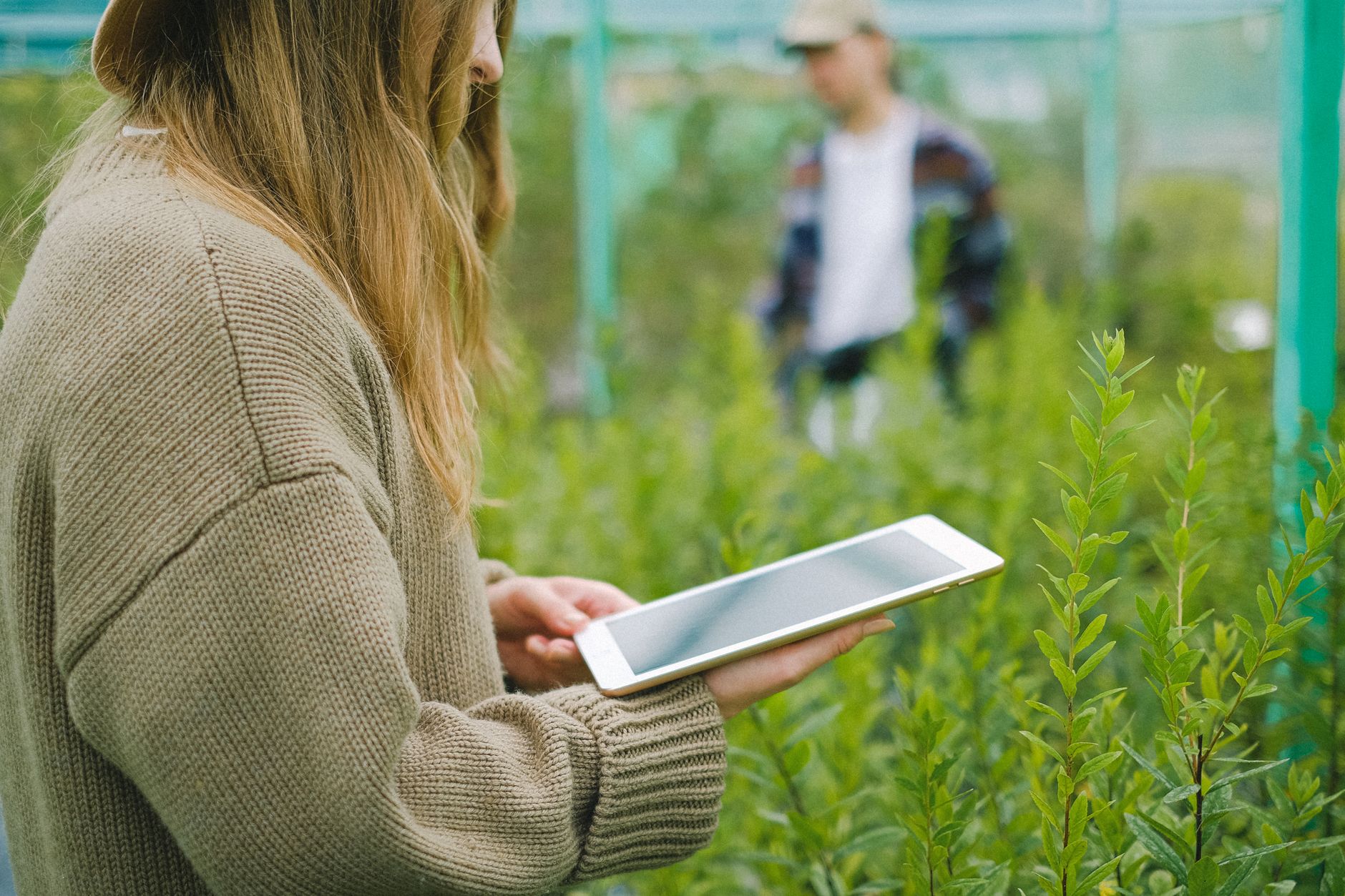 Agri Next 2026: Provocările modernizării agriculturii românești prin tehnologie și investiții