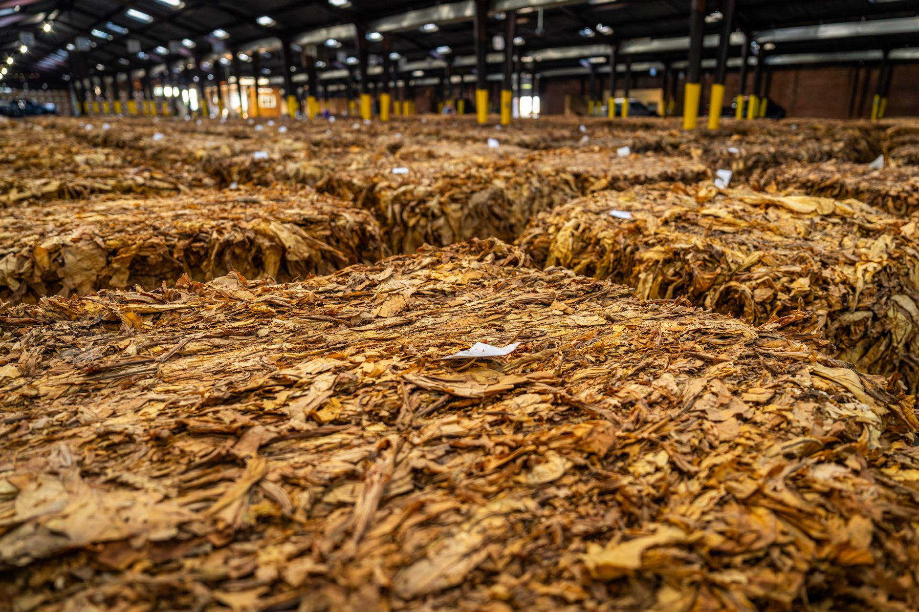 Excedentul comercial agroalimentar al UE a crescut la 34,7 miliarde de euro în primele opt luni ale anului 2026