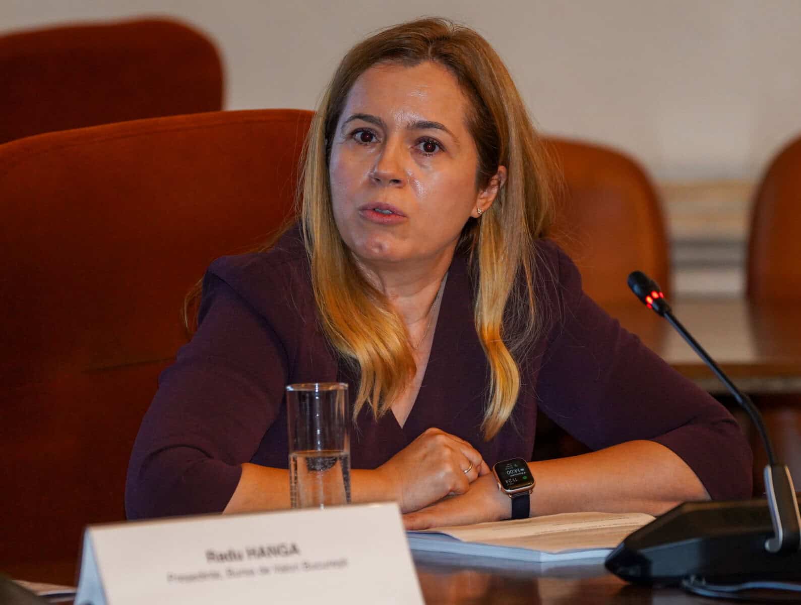 Mihaela Mihăilescu (BERD): România este ultimul loc în UE la inovare, deși exportă tehnologie de înaltă valoare