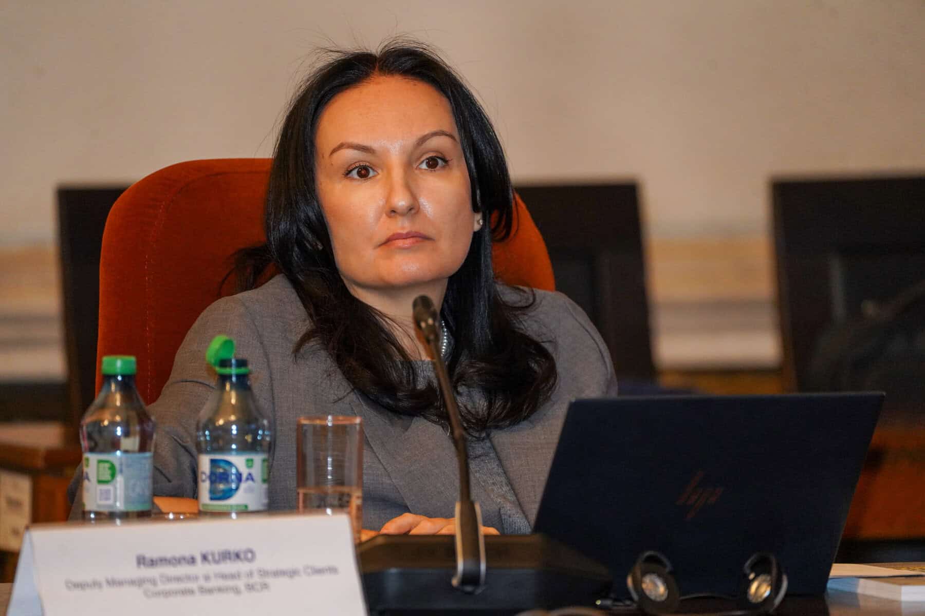 BCR are o expunere de 9,5 mld. euro pe segmentul corporate, cu o parte semnificativă în energie