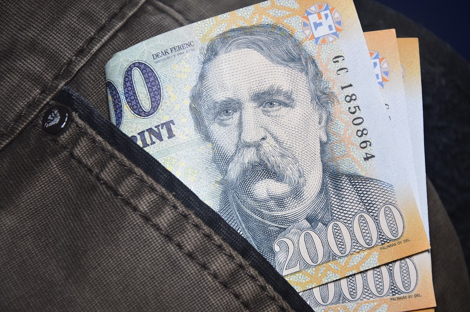 Ungaria ar putea adera la zona euro în 2032, estimează Fitch Ratings