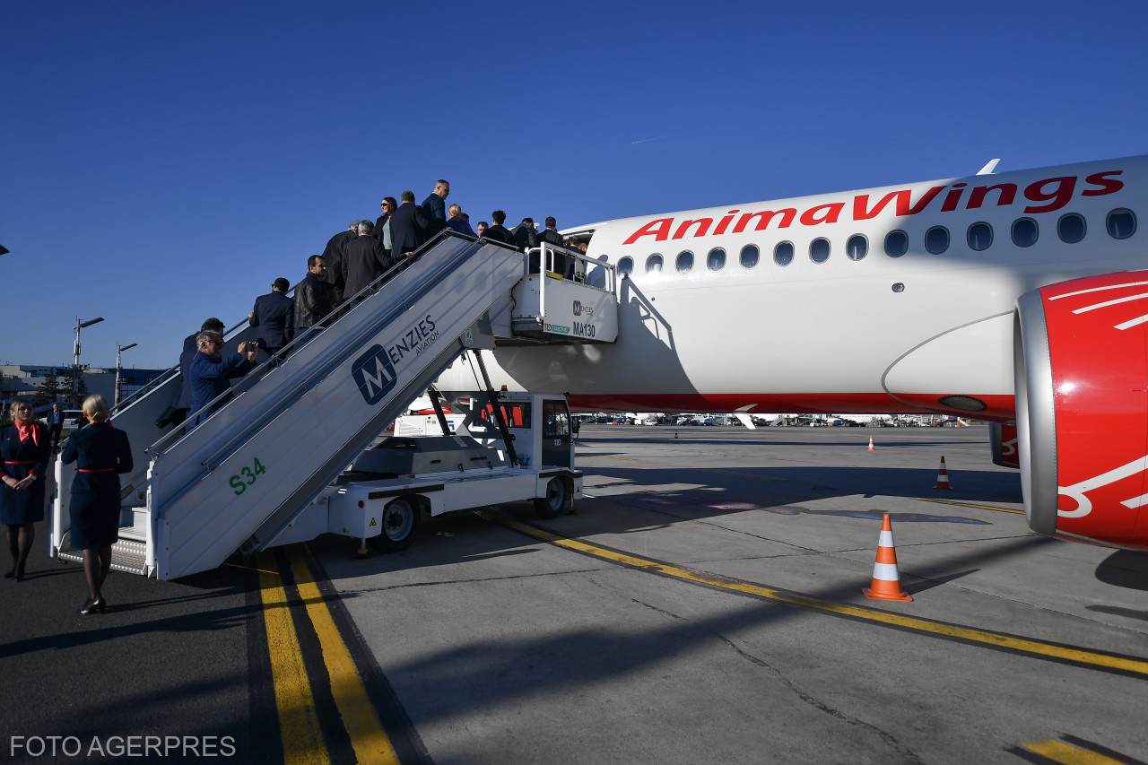 Compania aeriană Animawings intră în insolvență după a doua tentativă de protejare