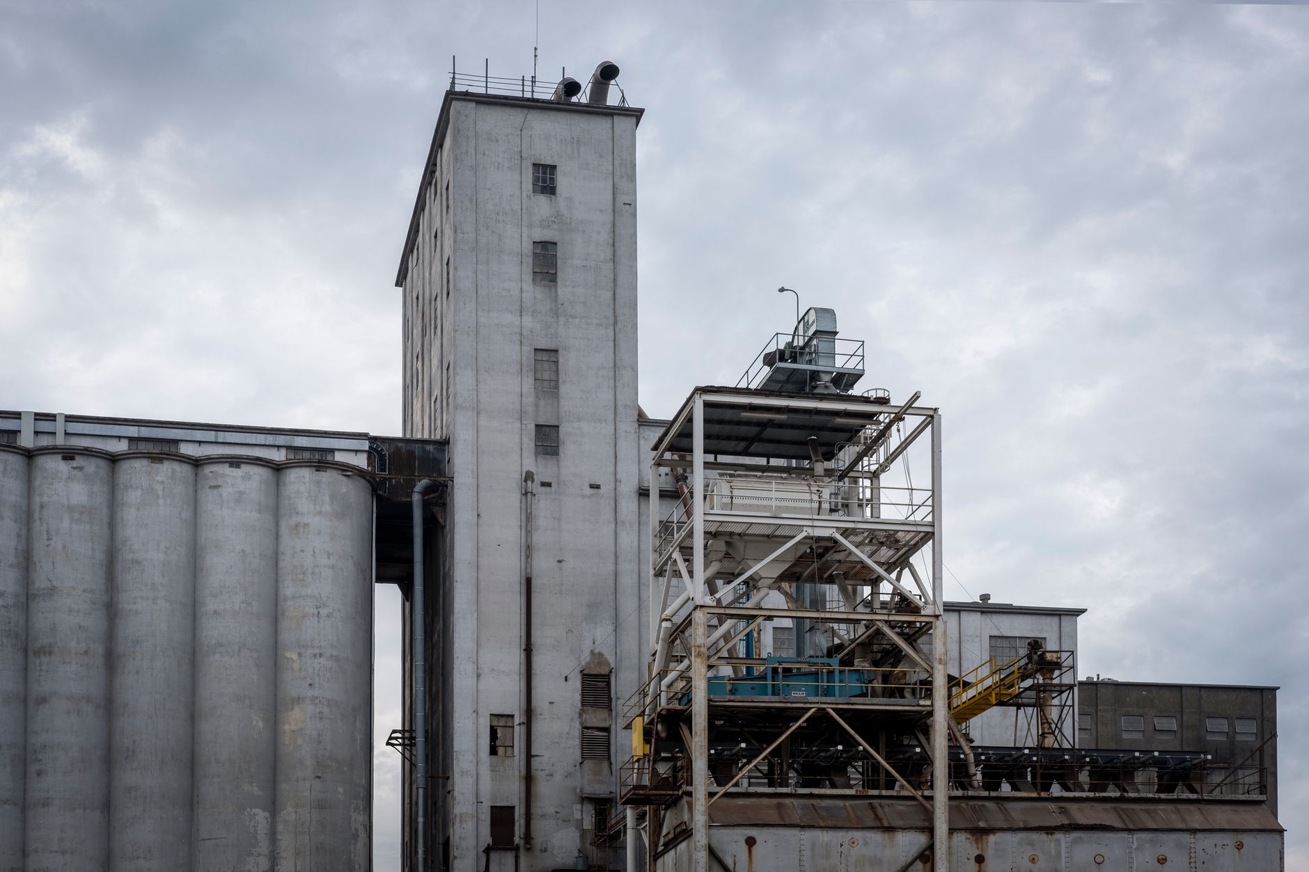 Bunge majorază capitalul în România cu 80 de milioane de euro în urma fuziunii cu Viterra