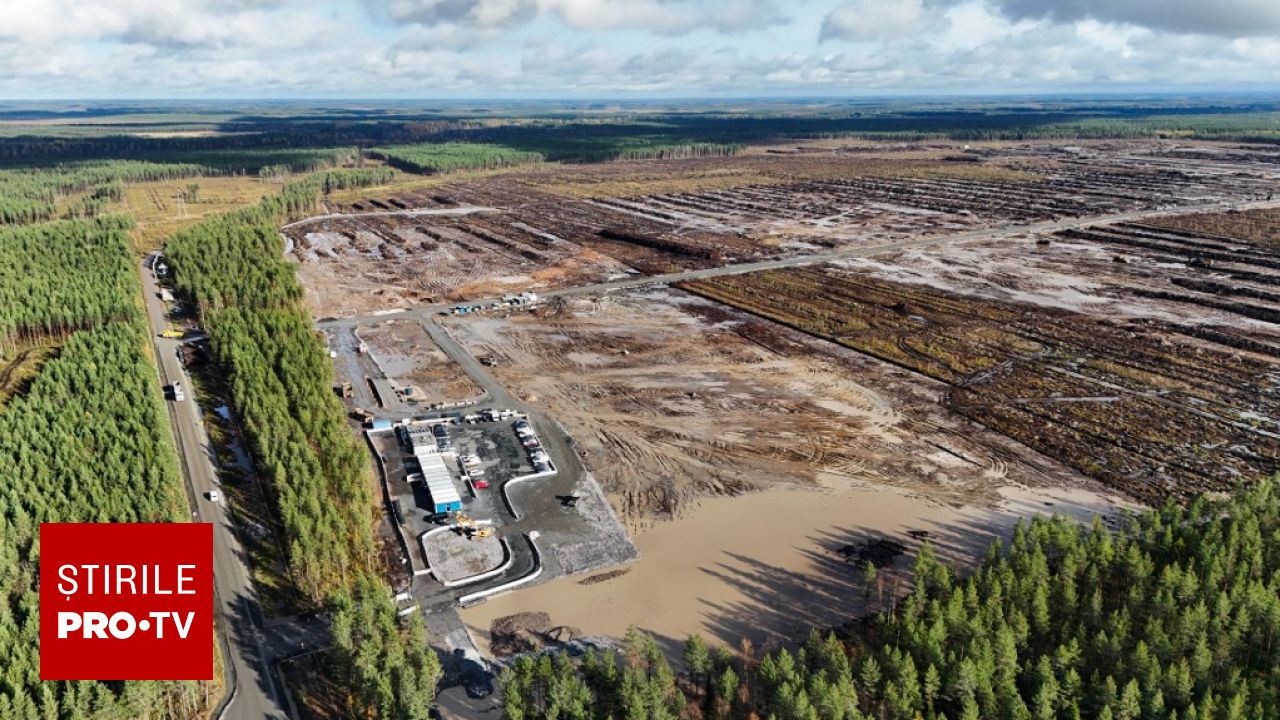 Anchetă penală în Finlanda pentru defrișarea unei păduri de către Google pentru un centru de date