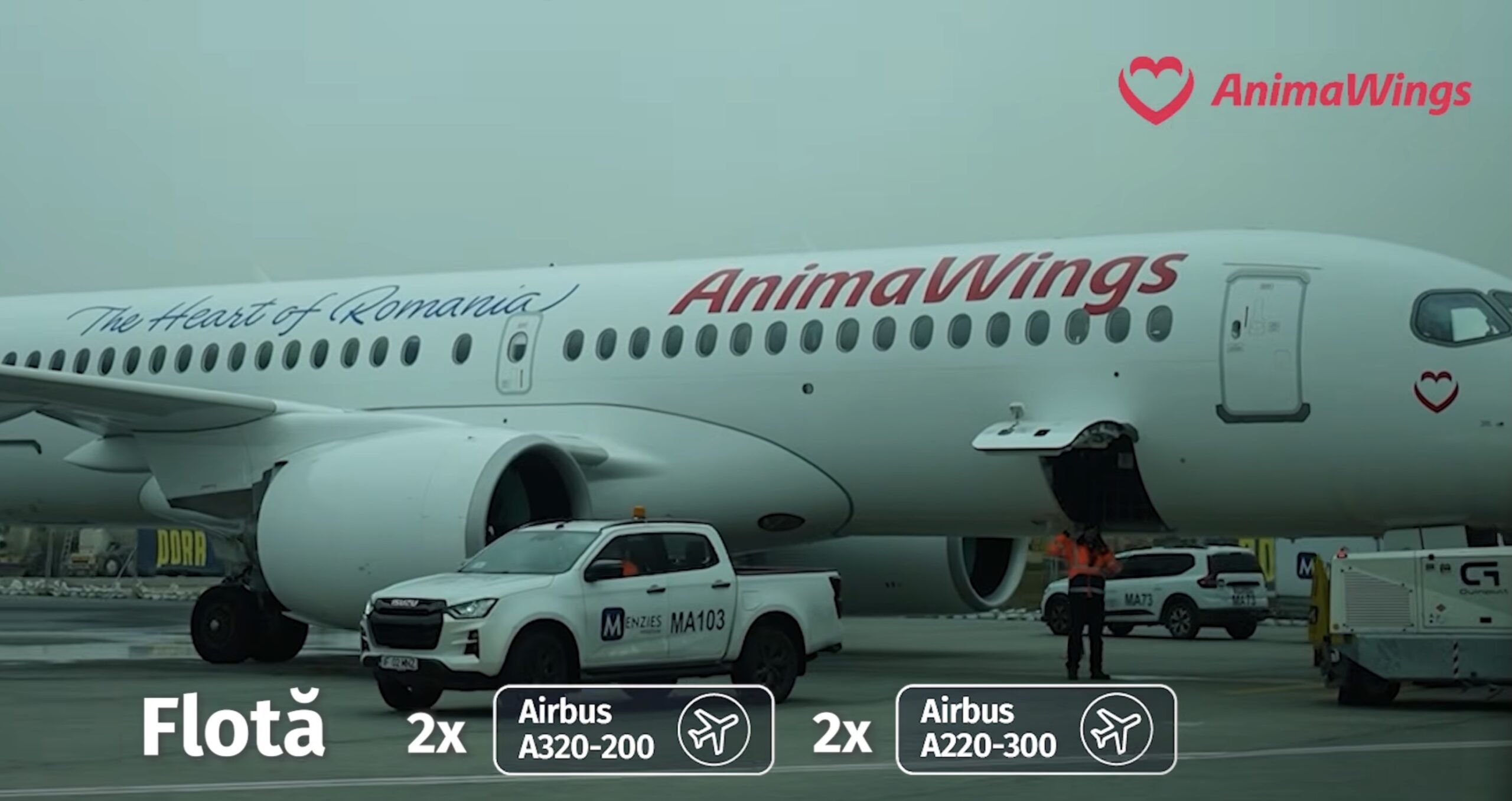 Compania aeriană AnimaWings a cerut reorganizarea judiciară după problemele financiare și tehnice