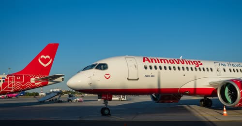 AnimaWings suspendă zborurile regulate după cererea de insolvență. Ce pot face pasagerii afectați