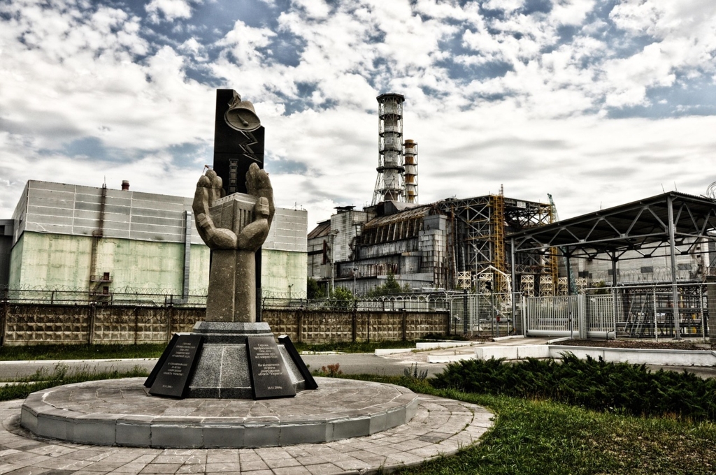 Utilizarea floarii-soarelui pentru reducerea contaminării radioactive: cum funcționează metoda de fitoremediere