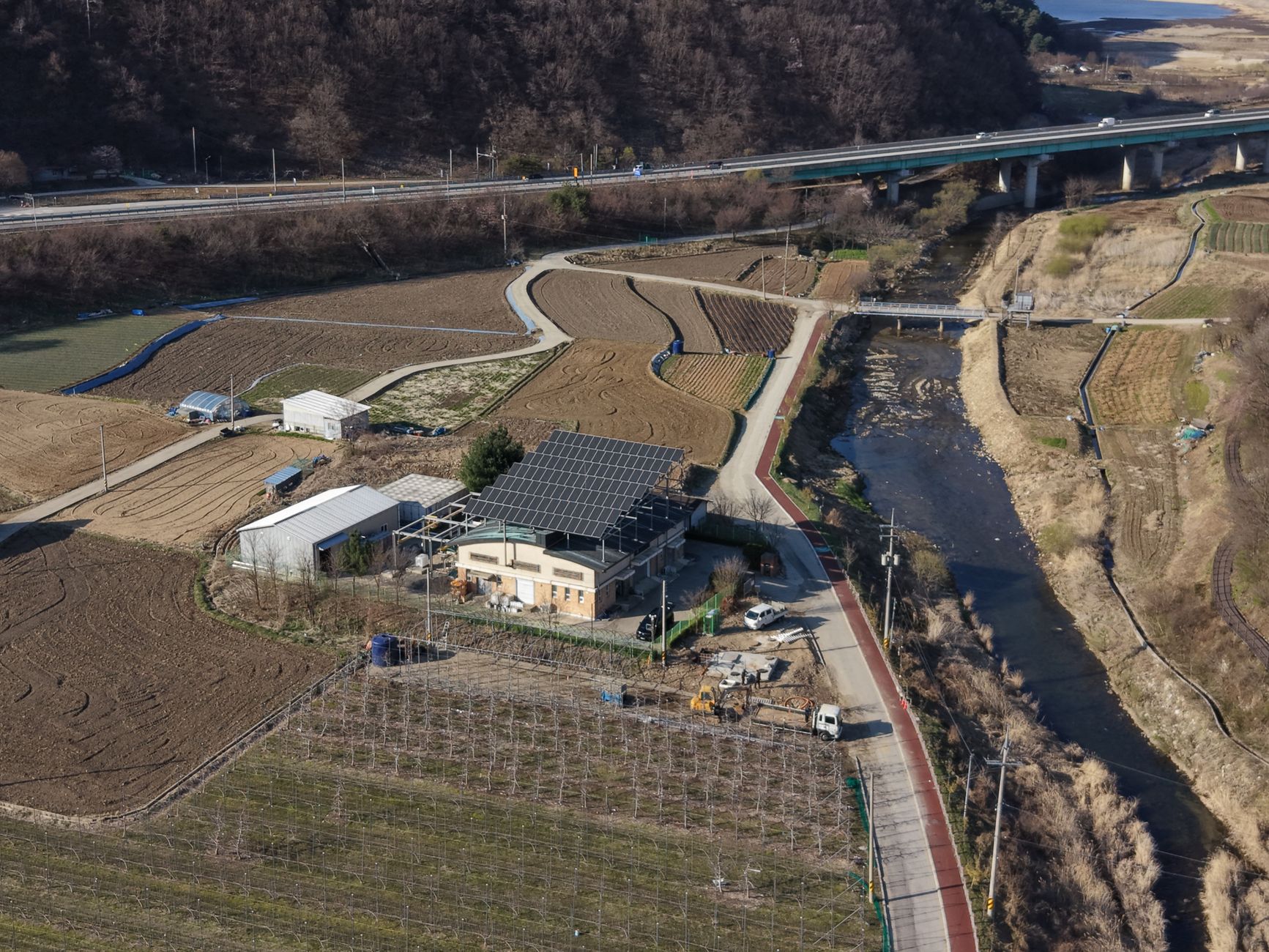Panouri solare de culoare roz pot permite utilizarea aceluiași teren pentru agricultură și energie