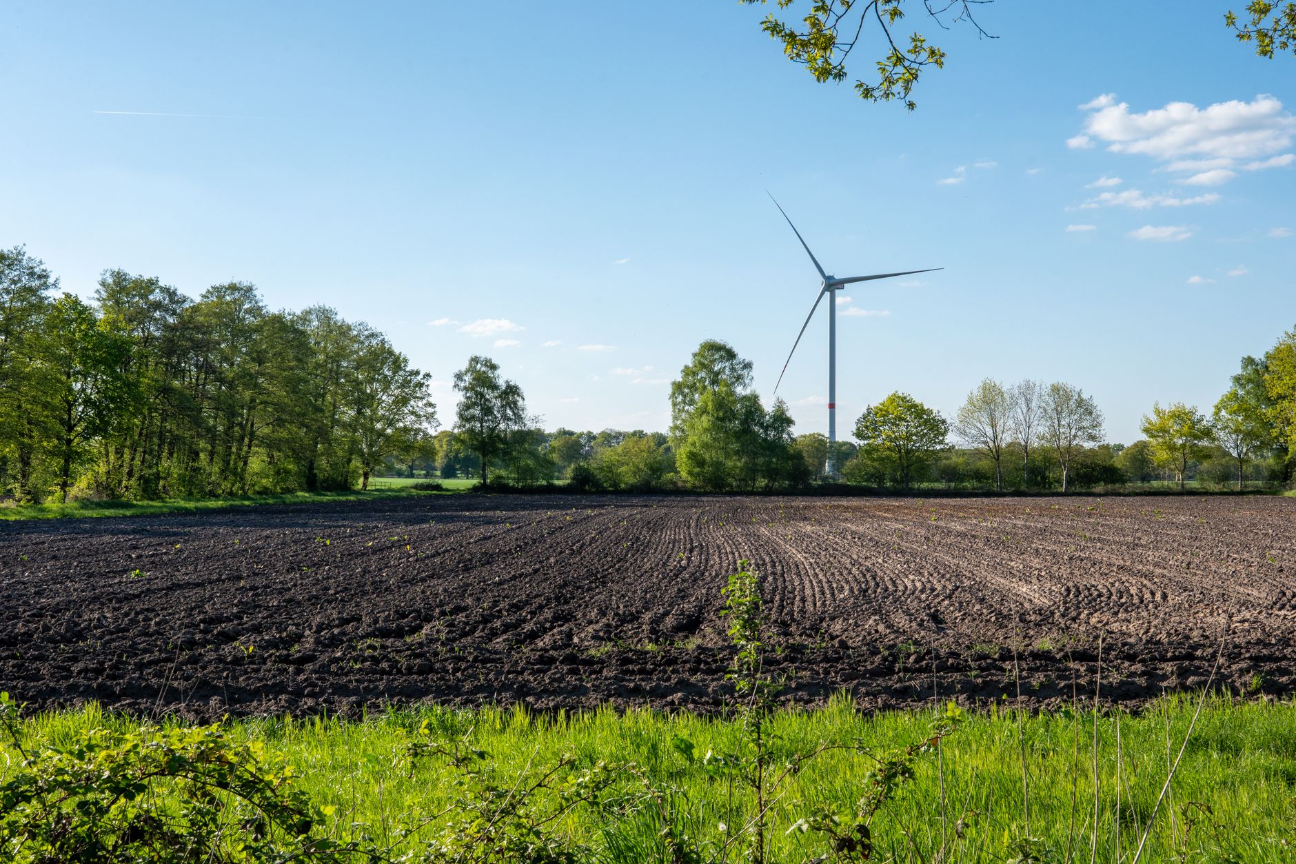 Comisia ENVI respinge la limită obiecția privind metodologia UE pentru carbon farming