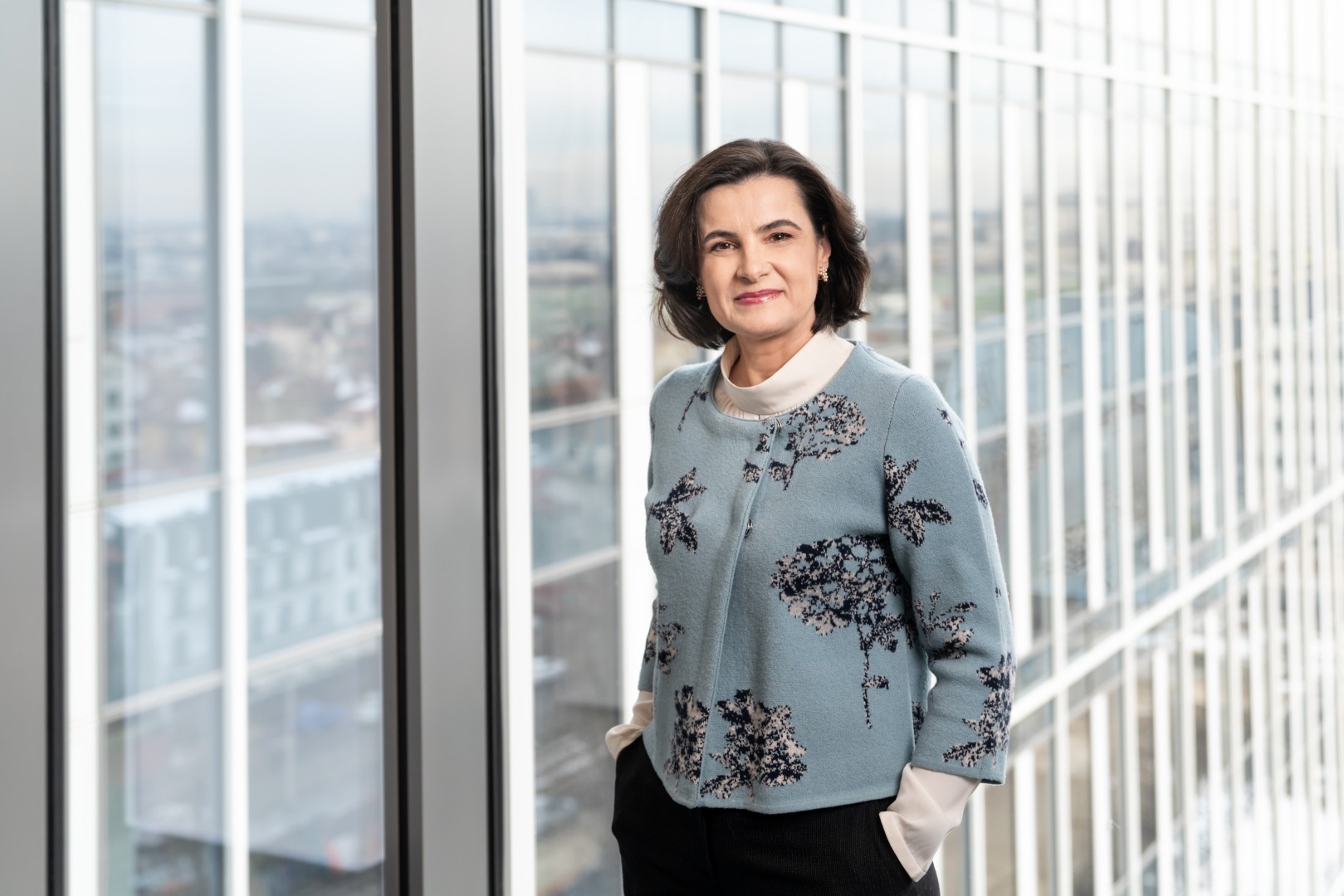 Asociația Română a Băncilor și-a actualizat componența Consiliului Director
