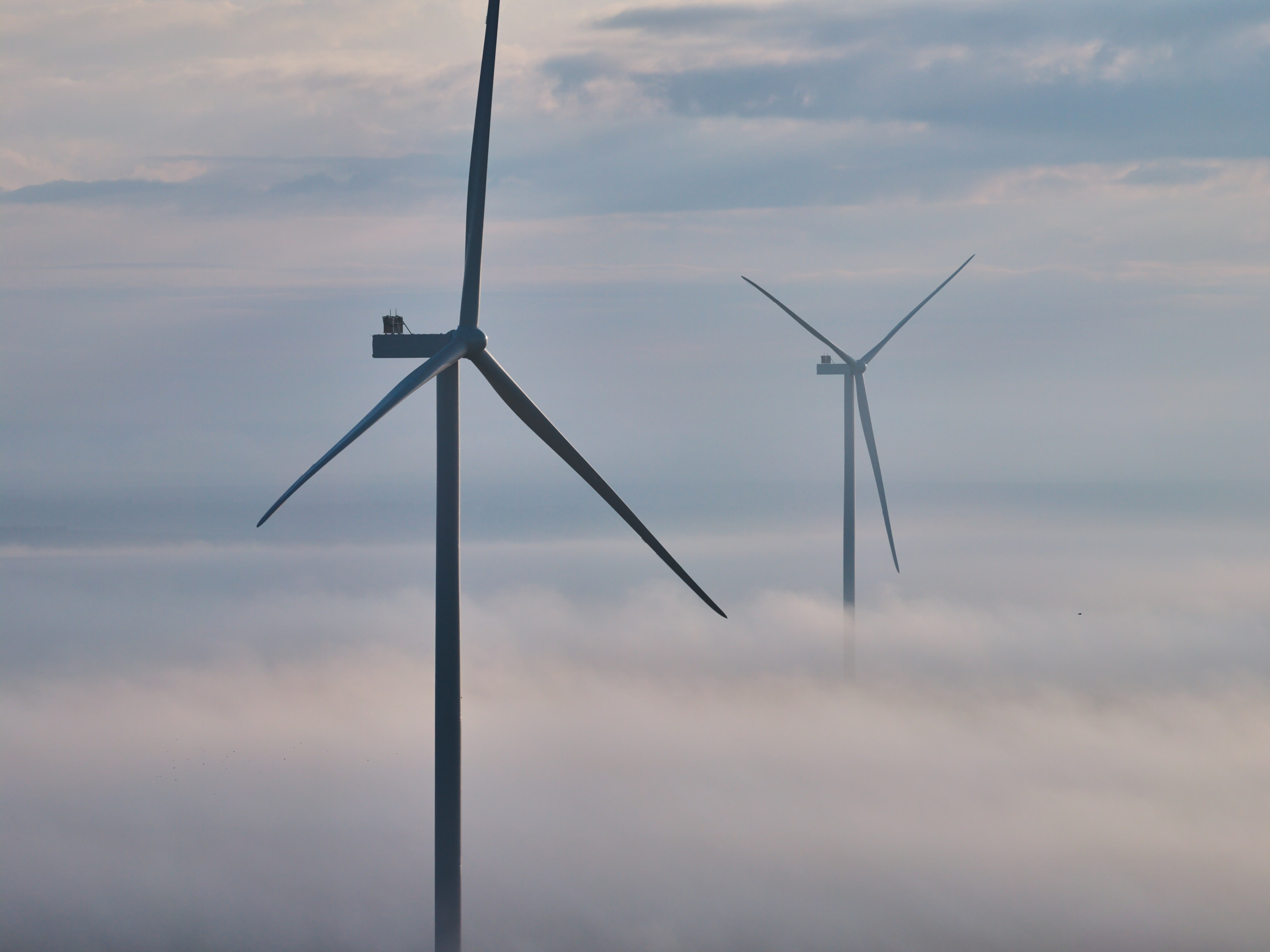 Compania suedeză OX2 gestionează un portofoliu de peste 1,5 GW de energie regenerabilă în România