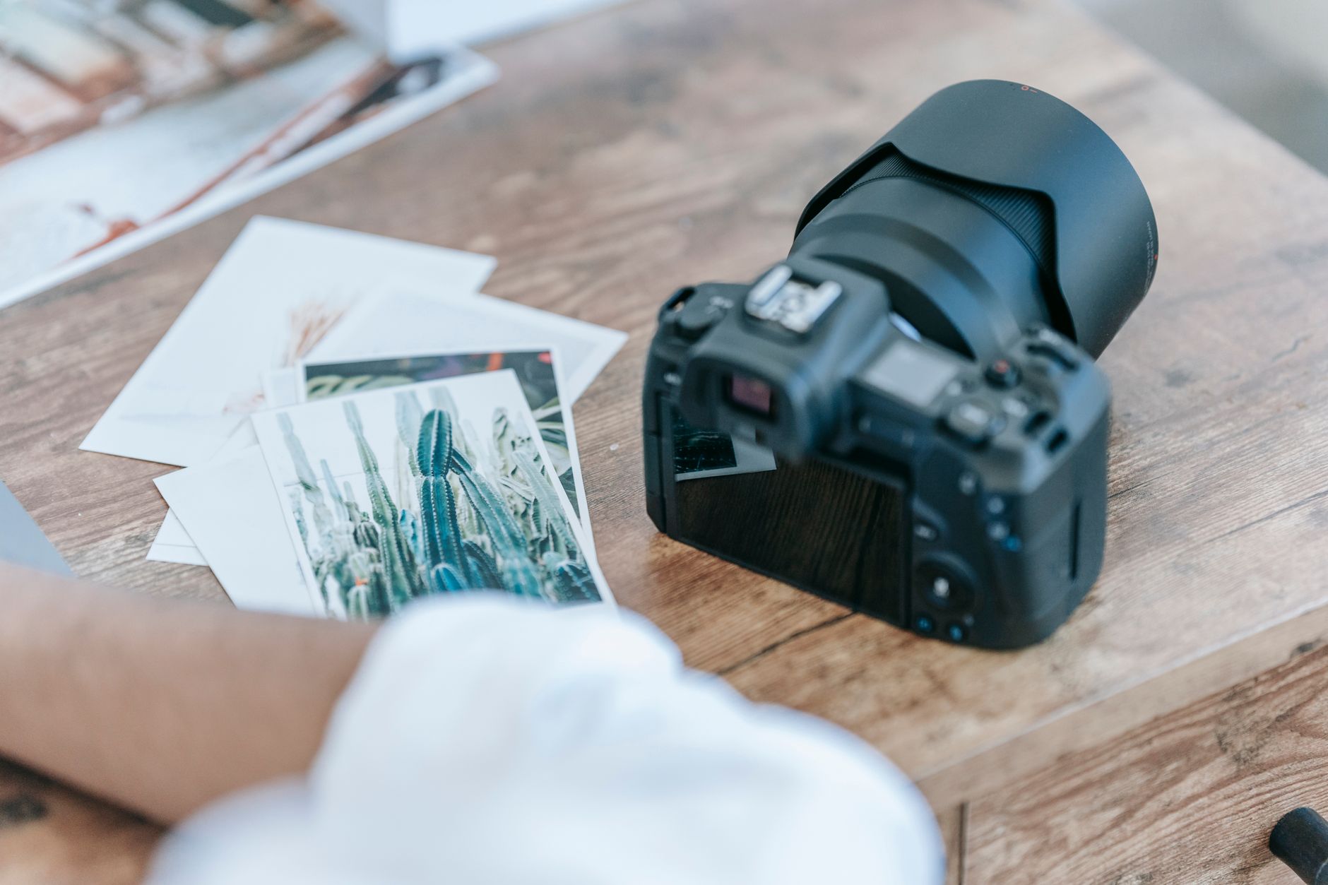 E-commerce în nișa foto-video: Photosetup analizează evoluția pieței și noile investiții în tehnologie