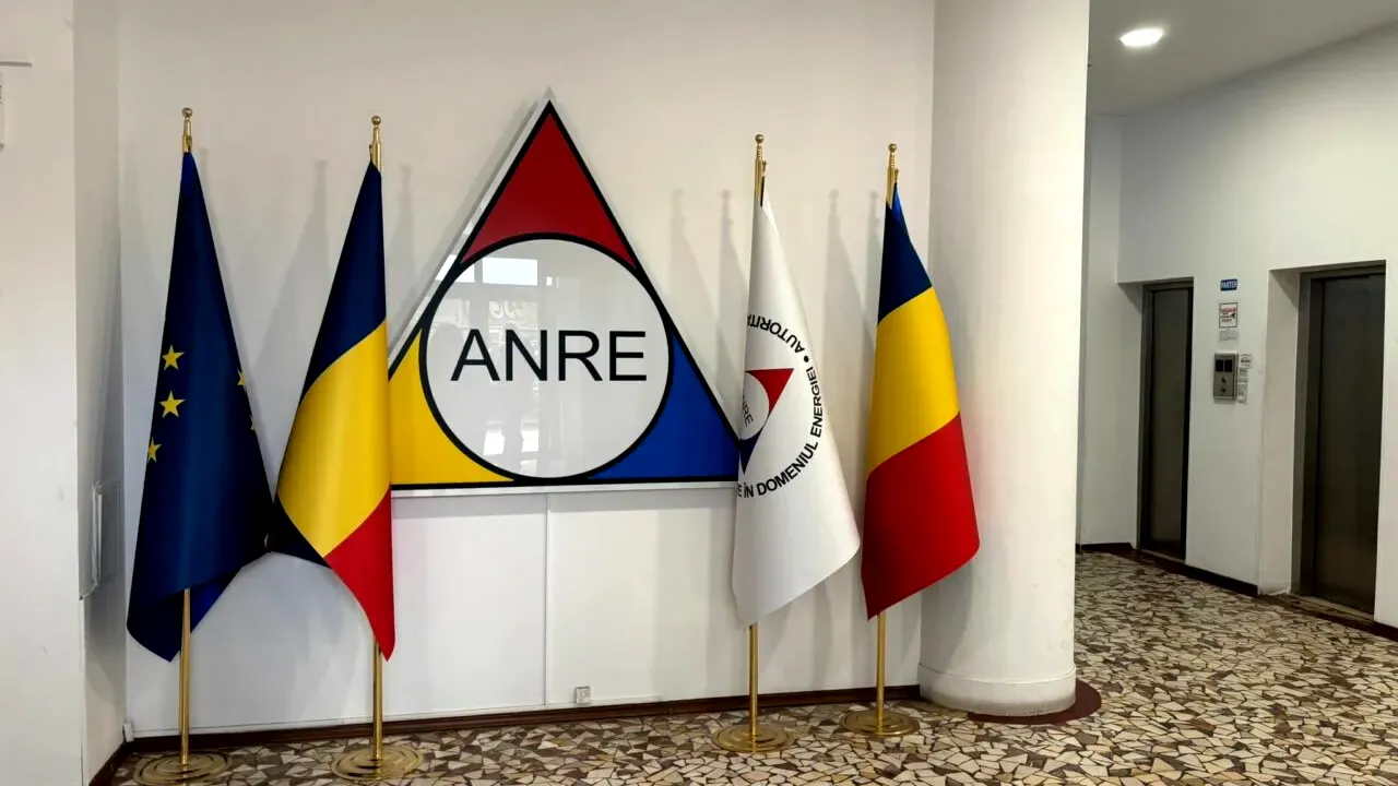 APCE critică ANRE pentru lipsa sancțiunilor împotriva distribuitorilor de energie